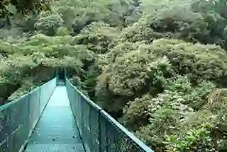 Sky Walk 